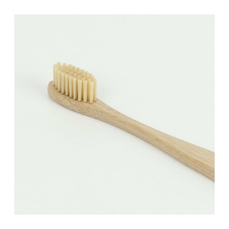 Best Toothbrushes