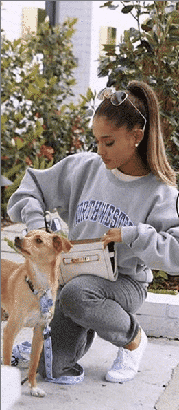 Most Stylish Ariana Grande Outfit Ideas For Girls (8)