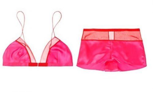 Top 5 Most Expensive Lingerie Brands with Price Details 2022