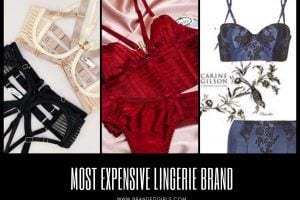 Top 5 Most Expensive Lingerie Brands with Price Details 2021