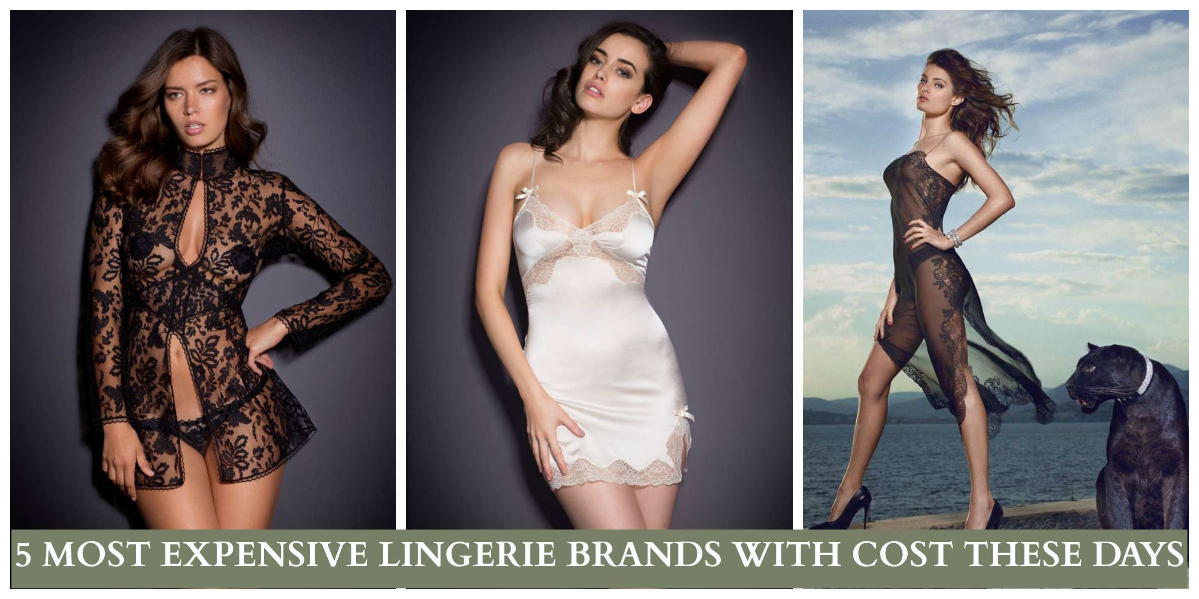 Top 5 Most Expensive Lingerie Brands with Price Details 2019