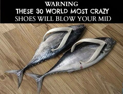 These 30 World Most Unique and Crazy Shoes Will Blow Your Mind