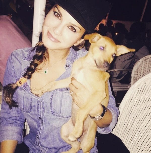 sunny leone hairstyles