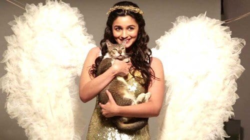 Alia Bhatt Cutest Pictures-30 Best Looks of Alia Bhatt of all Time