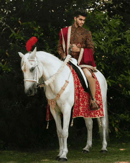 sherwani designs for grooms
