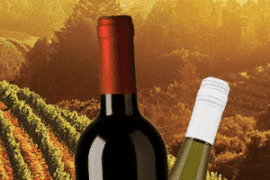 Top 10 Red Wine Brands 2022 - Red Wine Brand Names List
