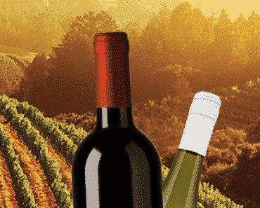Top 10 Red Wine Brands 2022 – Red Wine Brand Names List
