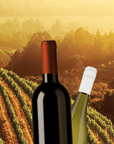 top red wine brands
