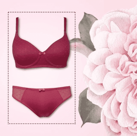  bra brands in india 