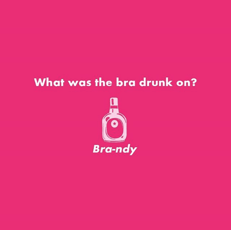 best indian bra brands
