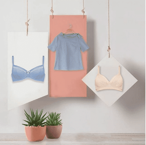  bra brands in india 