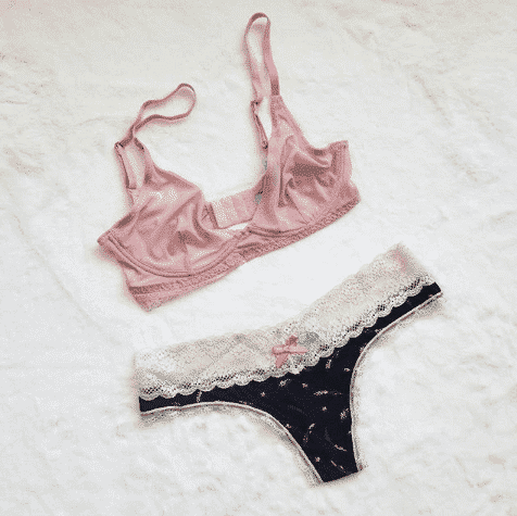  bra brands in india 