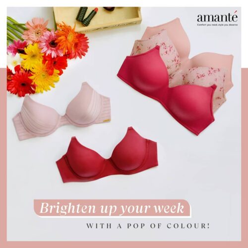 Top Bra Brands in Pakistan