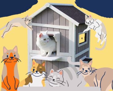 30 Modern Cat House Designs for Your Favorite Cats to Enjoy