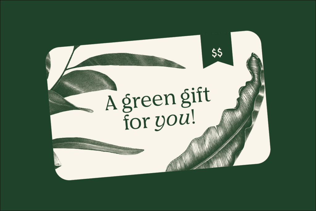gift card ideas