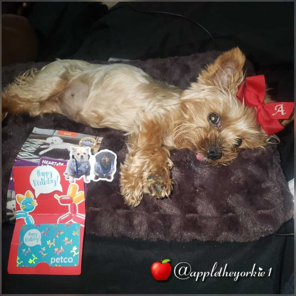 gift card ideas