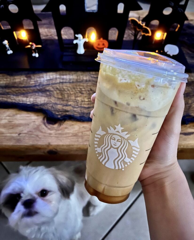 Best Starbucks Holiday Drinks of 2023 