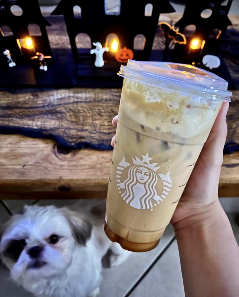 10 Best Starbucks Holiday Drinks of 2023 You Must Try!