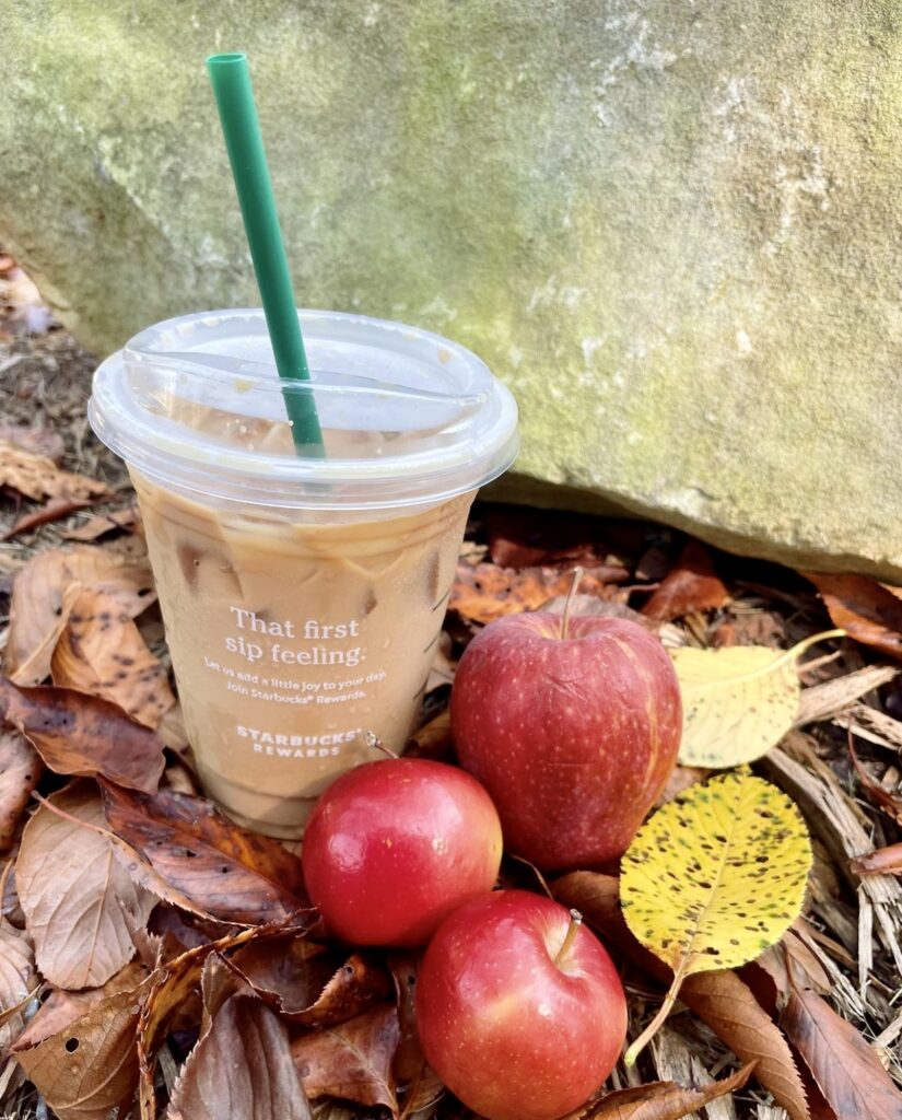 Best Starbucks Holiday Drinks of 2023