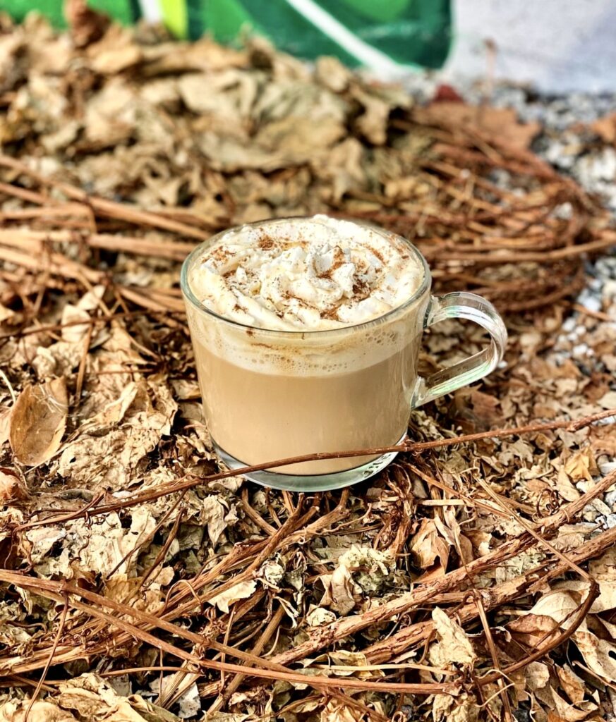 Best Starbucks Holiday Drinks of 2023