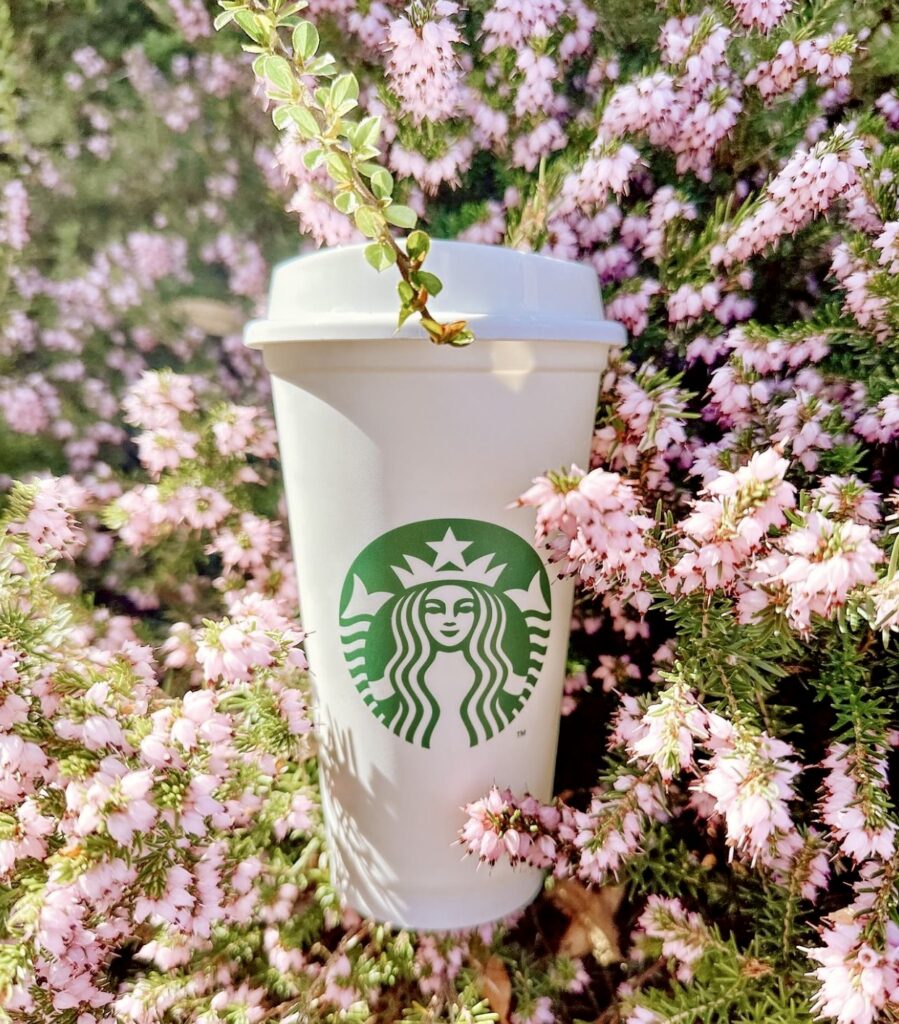Best Starbucks Holiday Drinks of 2023