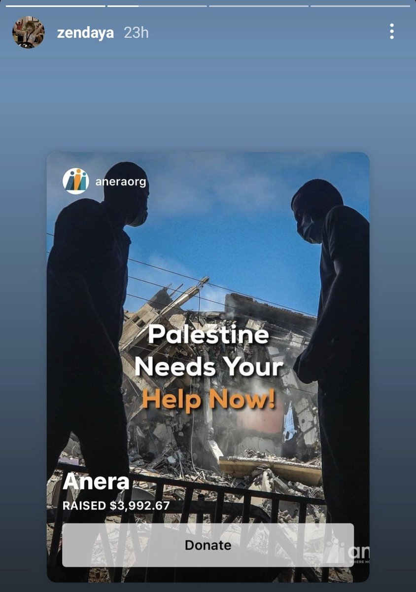 19 Non-Muslim celebrities Supporting Palestine