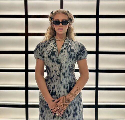 20 Famous Palestinian Celebrities 2024 List